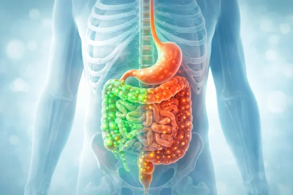 PriomeBiome ingredients